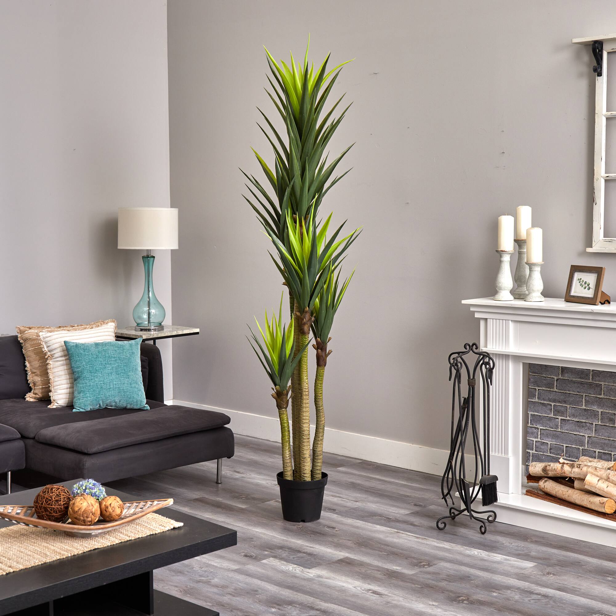 7ft. Potted Dracaena Tree